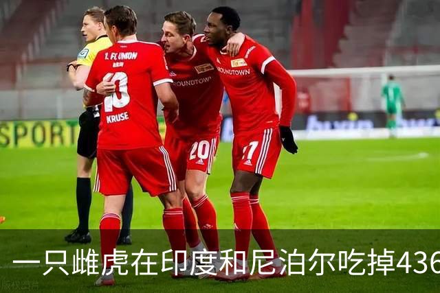 一只雌虎在印度和尼泊尔吃掉436人，成为杀人兽之最！原因竟是它的牙齿