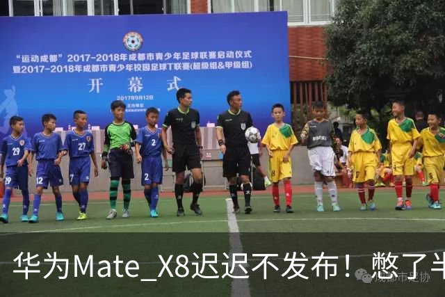 华为Mate X8迟迟不发布！憋了半年的王炸，到底有多强？