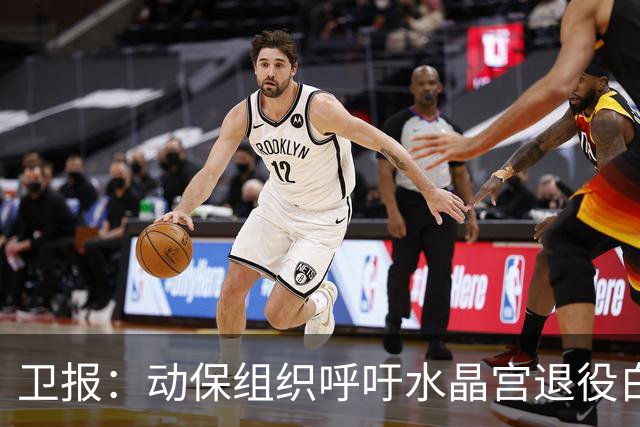 卫报：动保组织呼吁水晶宫退役白头海雕，别再用活体动物当吉祥物
