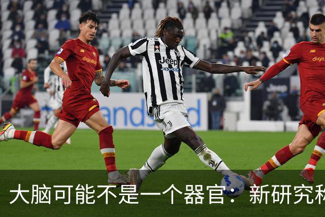 大脑可能不是"一个器官"：新研究称它由两套神经系统拼合而成