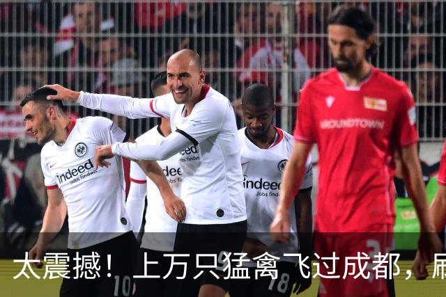 太震撼！上万只猛禽飞过成都，刷新本地纪录