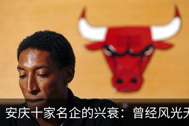 安庆十家名企的兴衰：曾经风光无限，如今只剩叹息