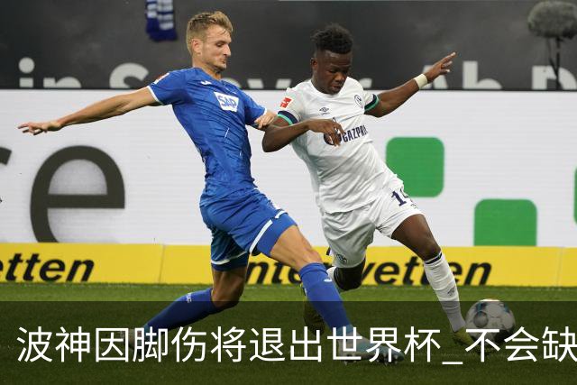 波神因脚伤将退出世界杯 不会缺席绿军训练营