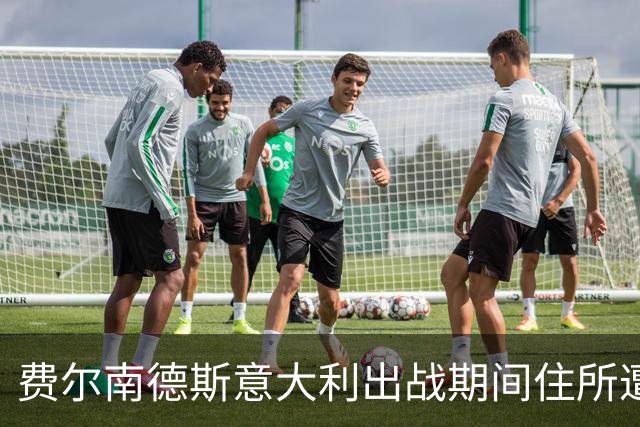 费尔南德斯意大利出战期间住所遭窃，警方到场不足五分钟