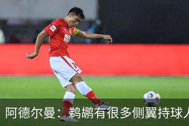 阿德尔曼：鹈鹕有很多侧翼持球人 惠尔摩尔上场会对我们有帮助