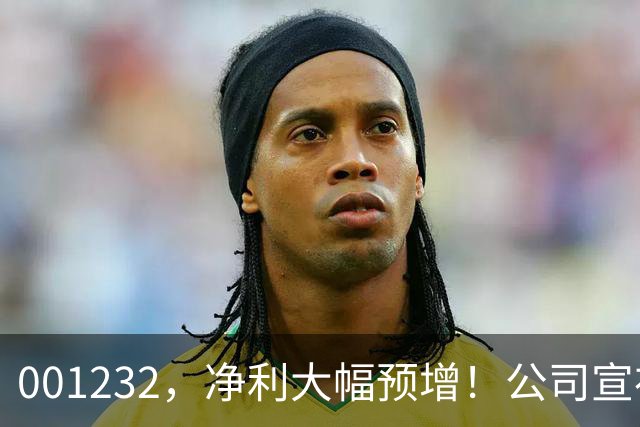 001232，净利大幅预增！公司宣布：筹划赴港上市！